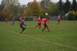 10.10.2015 TSV Falkenheim vs. DJK Sparta Noris